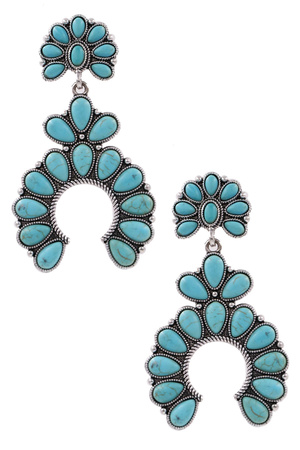 Western Crescent Earrings